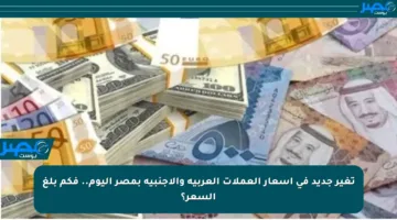 تغير جديد في أسعار العملات العربية والأجنبية بمصر اليوم.. فكم بلغ السعر؟